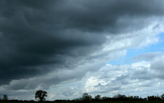 "����������� ������" ��������� ������������