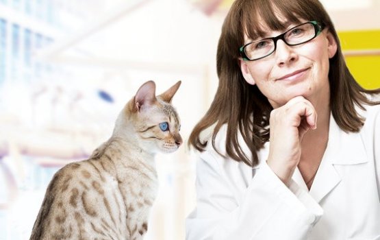 ������������ ������ ��� ������ ��������� ���������