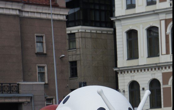 � ���� ������ ������ ������ (�����)