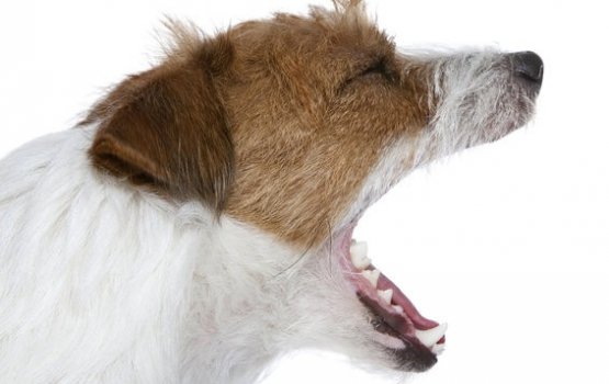 ��������� � ����� �����