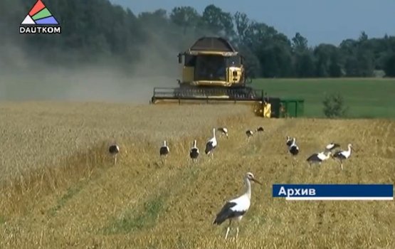 ������ ����� � ������ ����� ������� ������� (�����)