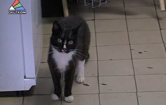 ������ ������ ����� ���������������� (�����)