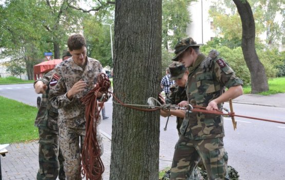 �������������� �������� �������� �� �����