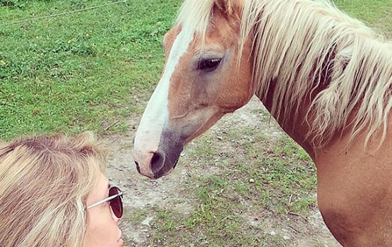 ���� �������� ����������� � �������