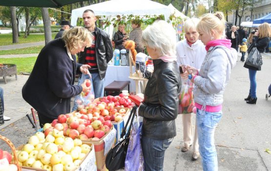 ������� ��� ���� ����� �� �������