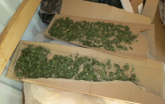 ����� ���������� ��������� � ����������� ����