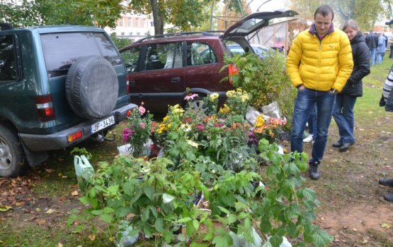 ��������� ������� ������������� ���� ��������