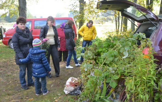 ��������� ������� ������������� ���� ��������