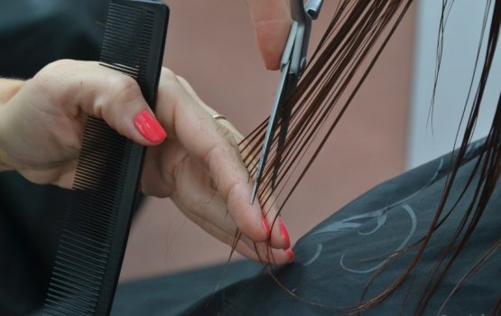 ������ �����: ��������