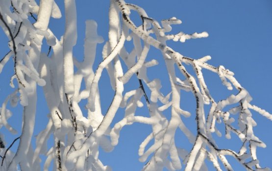 � �������� ����� ������ ����