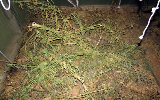 � ������ ����� ��������� ���������