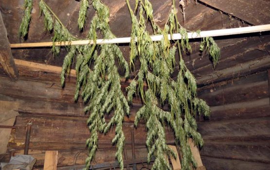 � ������ ����� ��������� ���������