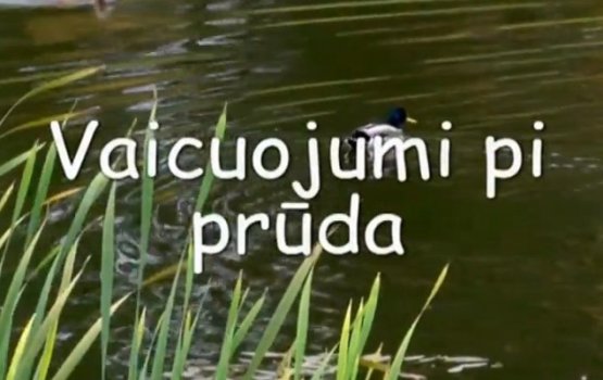 Фильм "Vaicuojumu pi pr&#363;da" (видео)