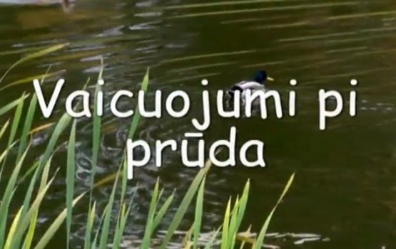  "Vaicuojumu pi pr&#363;da" ()