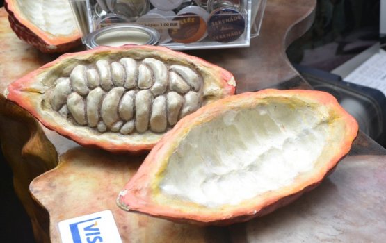 ��� ������� ����� LAIMA