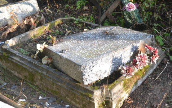 � ��� ���������� ����������� �� �������� ��������