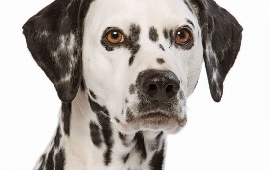 ������� ����� � �������������� ������� � ������������������ ������� � �����