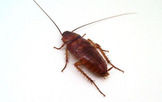 ����� ��������� ��������� �����