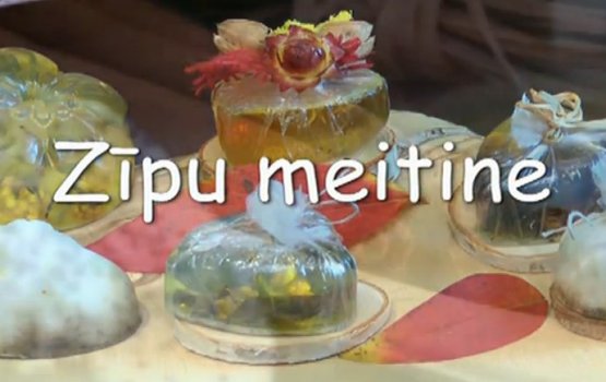  Z&#299;pu meitine ()