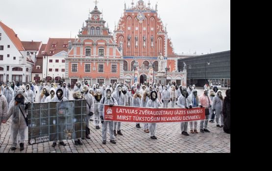 ��������� �������� ������� � ������ ���� ����� �������� � ������������