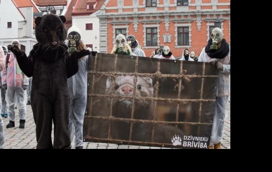 ��������� �������� ������� � ������ ���� ����� �������� � ������������