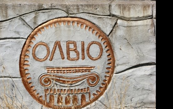 �����������:  ������ �����������