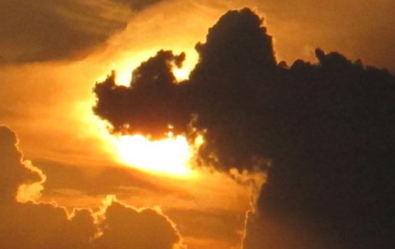 ������� ����, �� +5 ��������