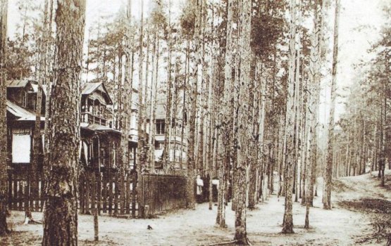 19 января 1931 года: строительный бум дачников в Стропах