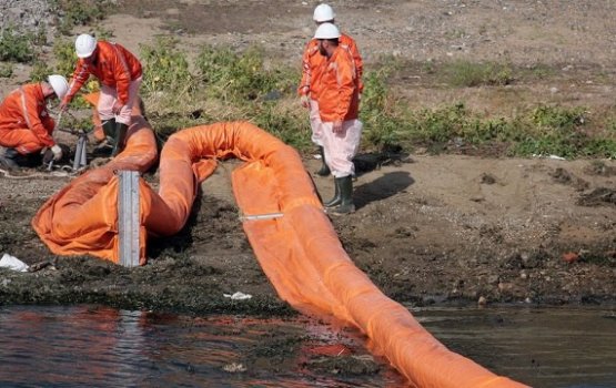 ����������� ������ � ���������� ������� ���������