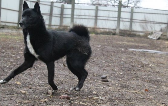 ������ ���� �����! ������ 18