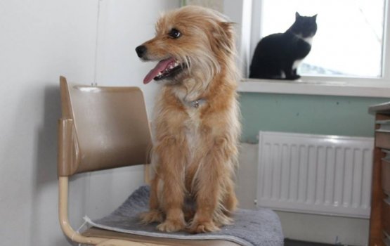 ������ ���� �����! ������ 18