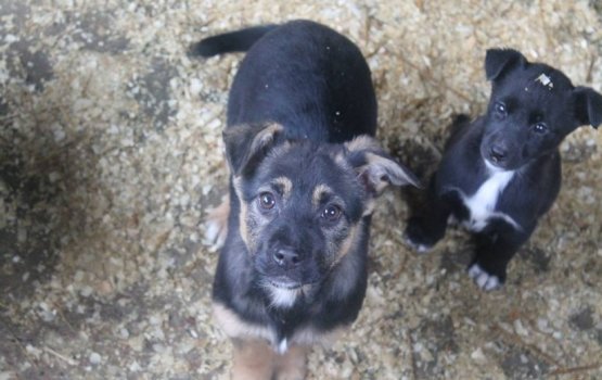 ������ ���� �����! ������ 18