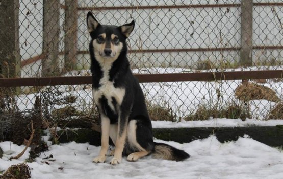 ������ ���� �����! ������ 18