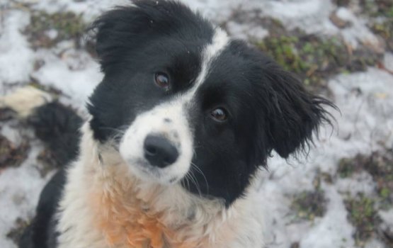 ������ ���� �����! ������ 18