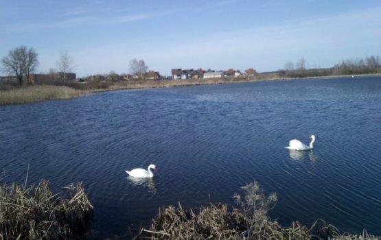 ��������: �� �������, ������ ��������