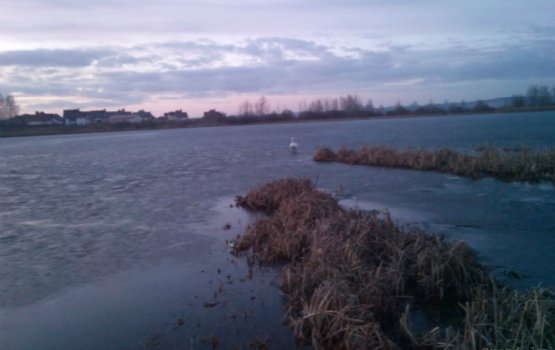 ��������: �� �������, ������ ��������