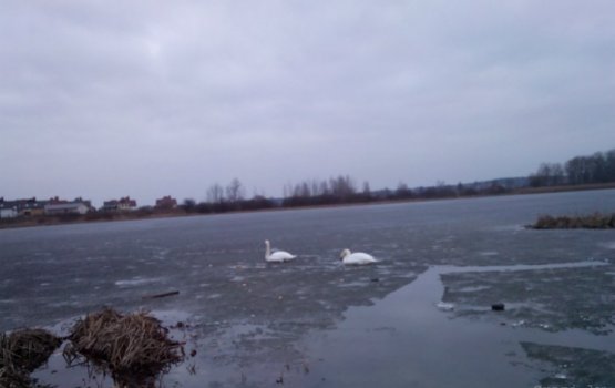 ��������: �� �������, ������ ��������