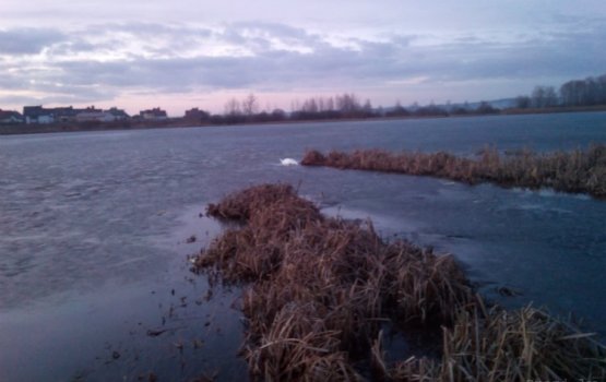 ��������: �� �������, ������ ��������