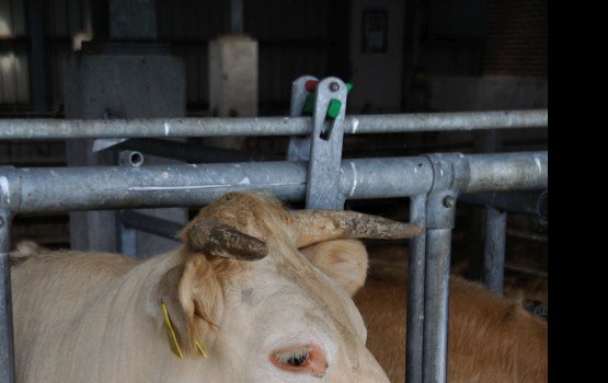 ��������� ������ �������� �� 200 000 ����