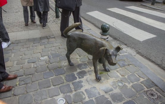 ������������ � ��������. ����� 2: ������ ���!