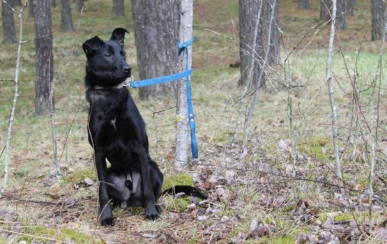 �������� ����� �������������� �������!