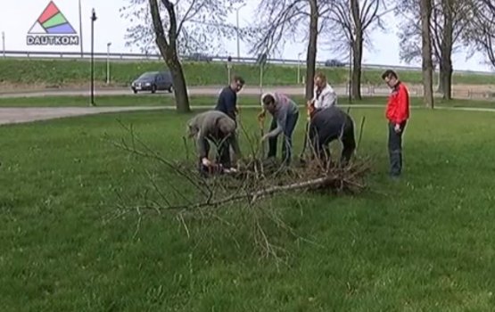 ����� ����������� ������ �������� ������� (�����)