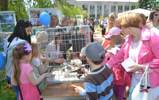 � ����������� ������ ��������� ������