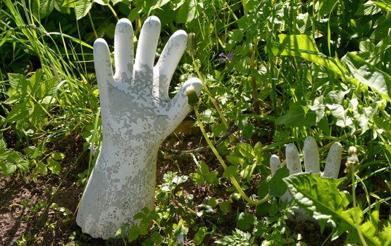 ���������: ������� � ���������� �������