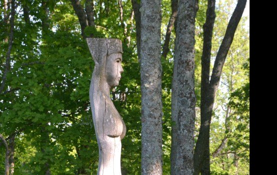 ���������: ������� � ���������� �������