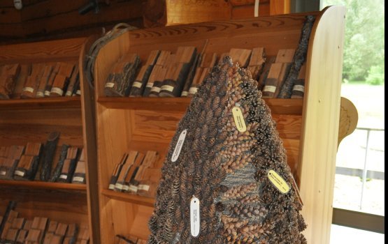 ����������� � ���������