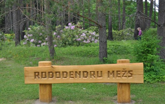 ����������� � ���������