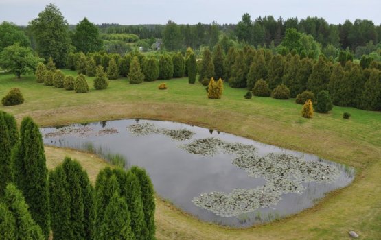 ����������� � ���������