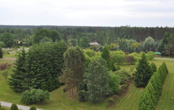 ����������� � ���������