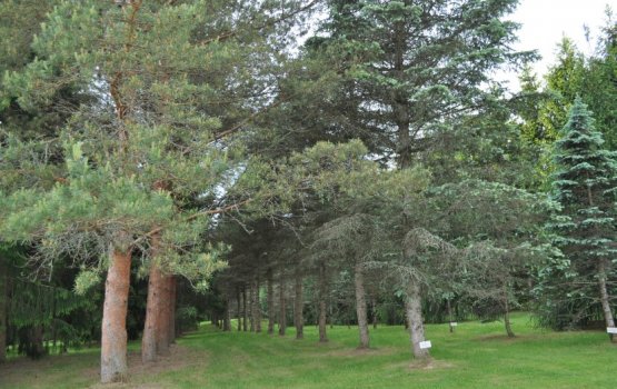 ����������� � ���������